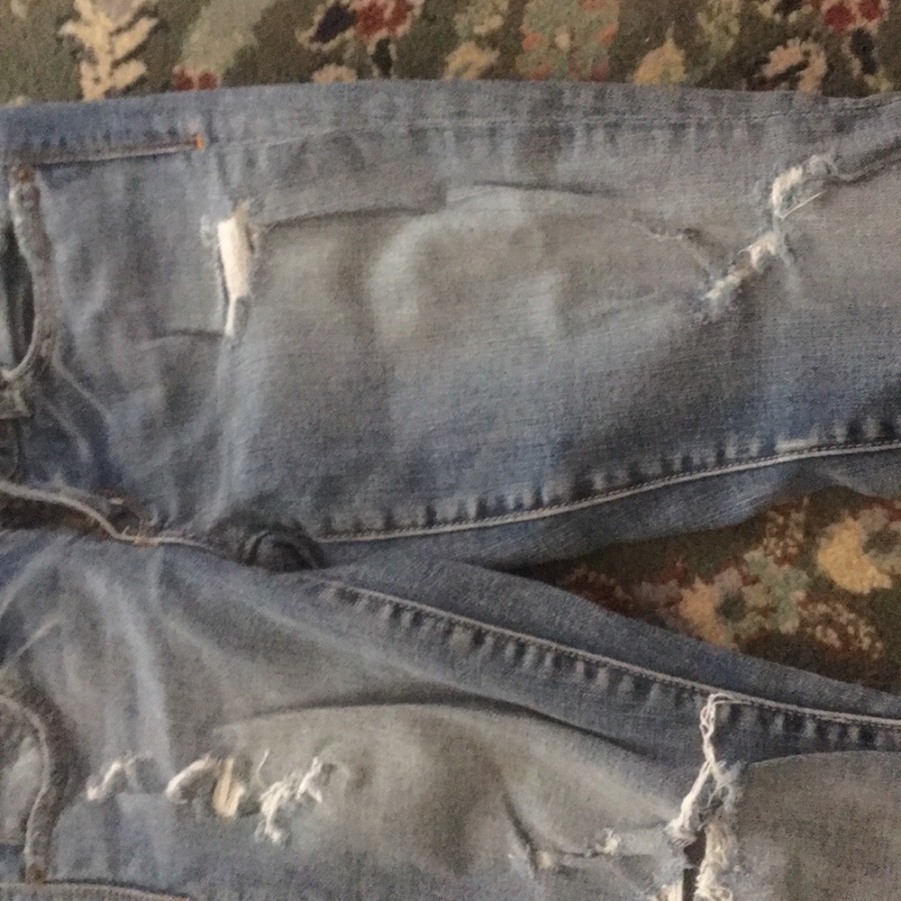 American eagle - Picture 3 of 4